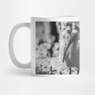 American white ibis black and white Mug